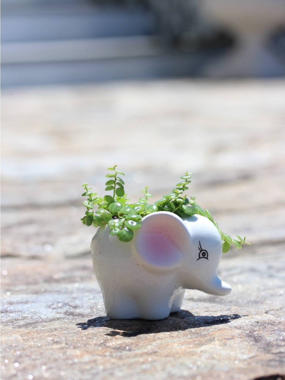 White Ceramic Elephant Planter with String of Turtles